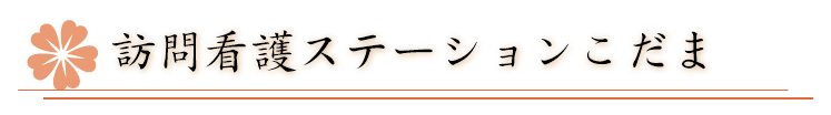 訪問介護ステーションこだま-介護老人保健施設 あき